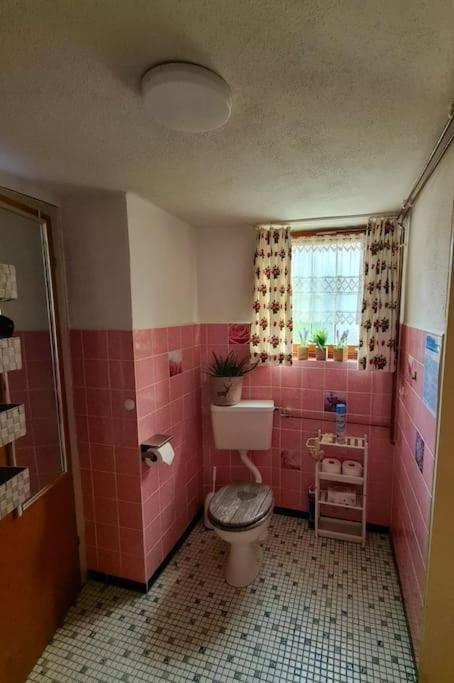 Friedenweiler Idyllische Kleine Ferienwohnung Im Schwarzwald מראה חיצוני תמונה